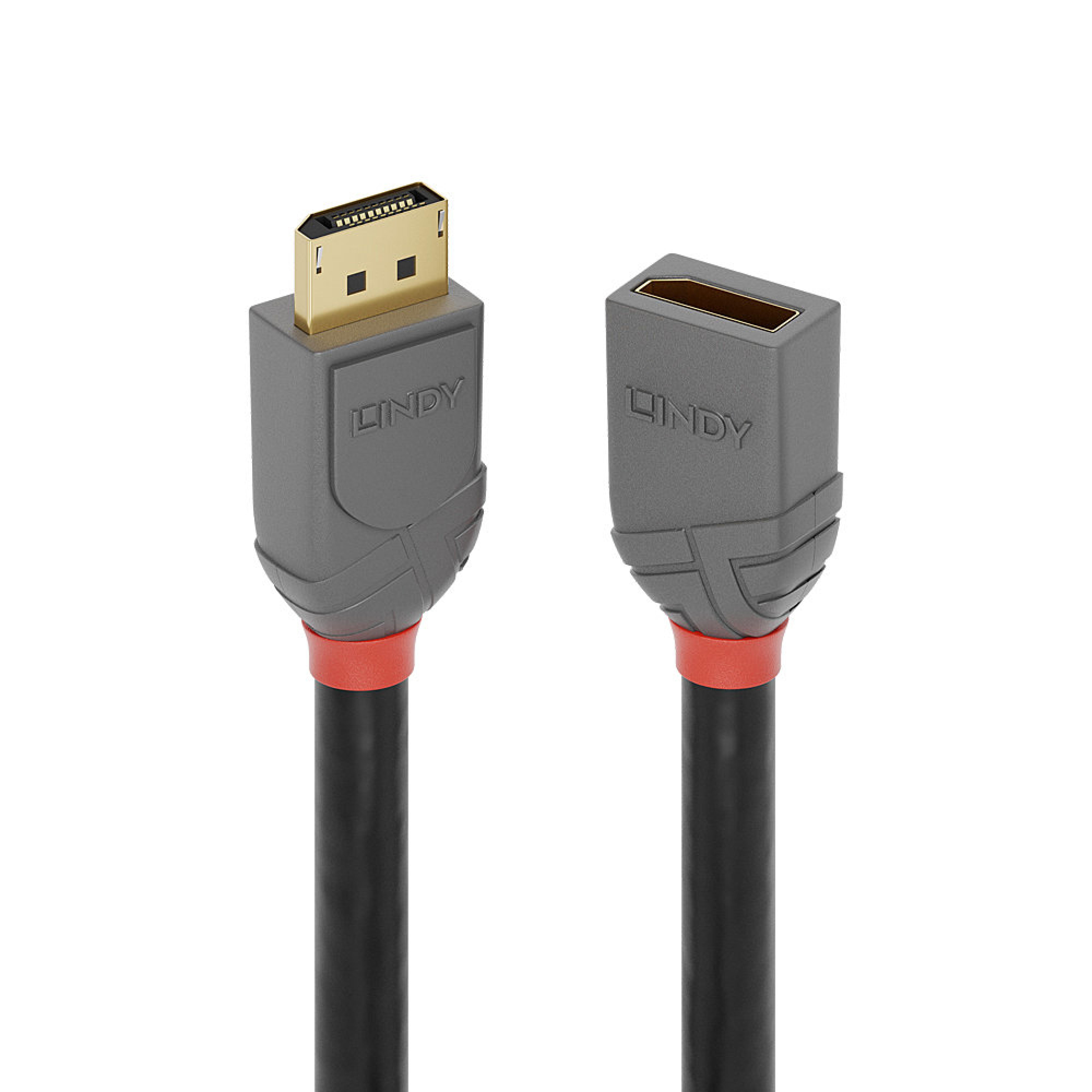 LINDY DisplayPort 1.4 Verlaengerungskabel 3m, Anthra Line