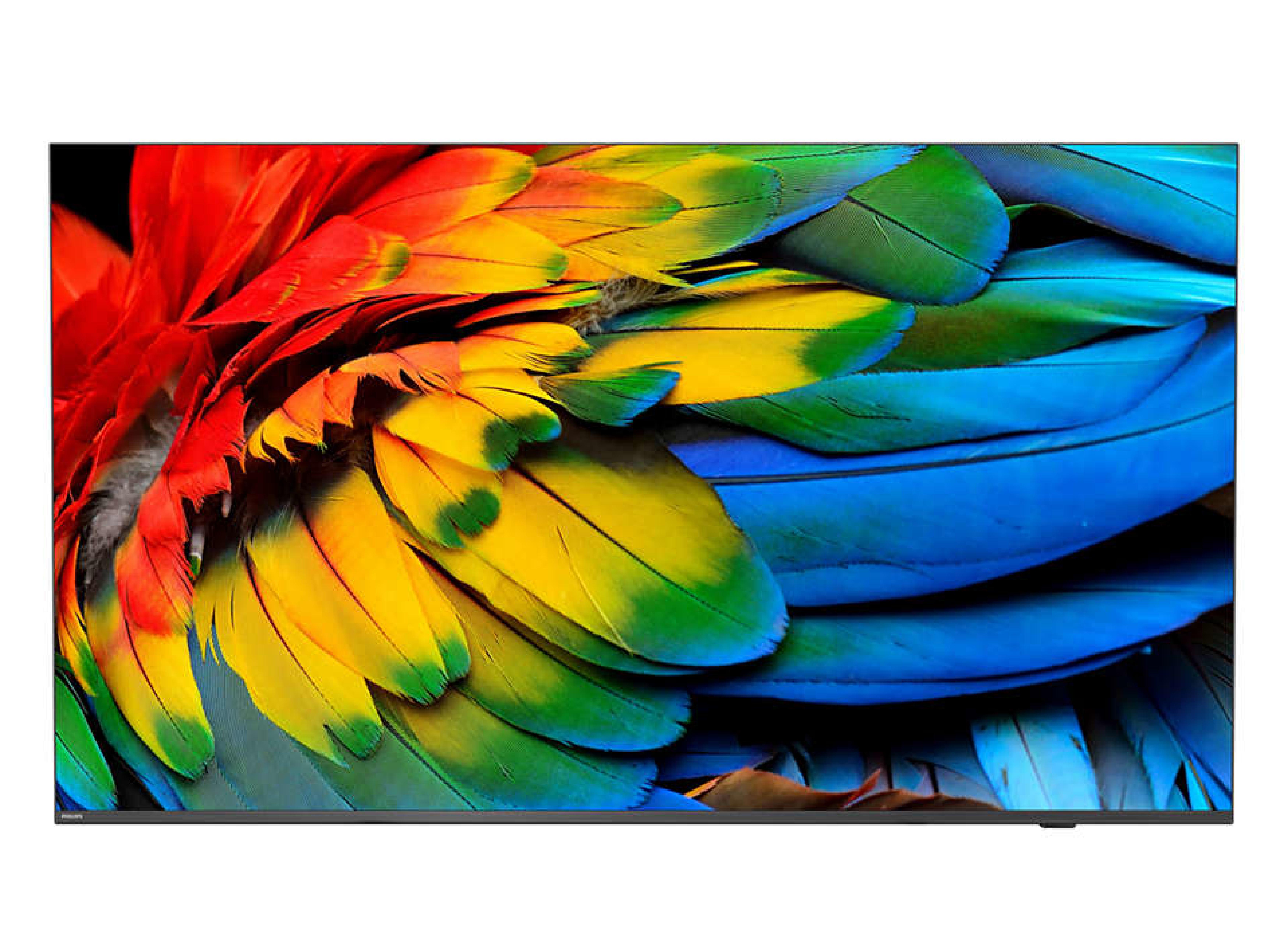 PHILIPS Hotel TV 50HFL6214U/12 126,0cm(50") MediaSuite