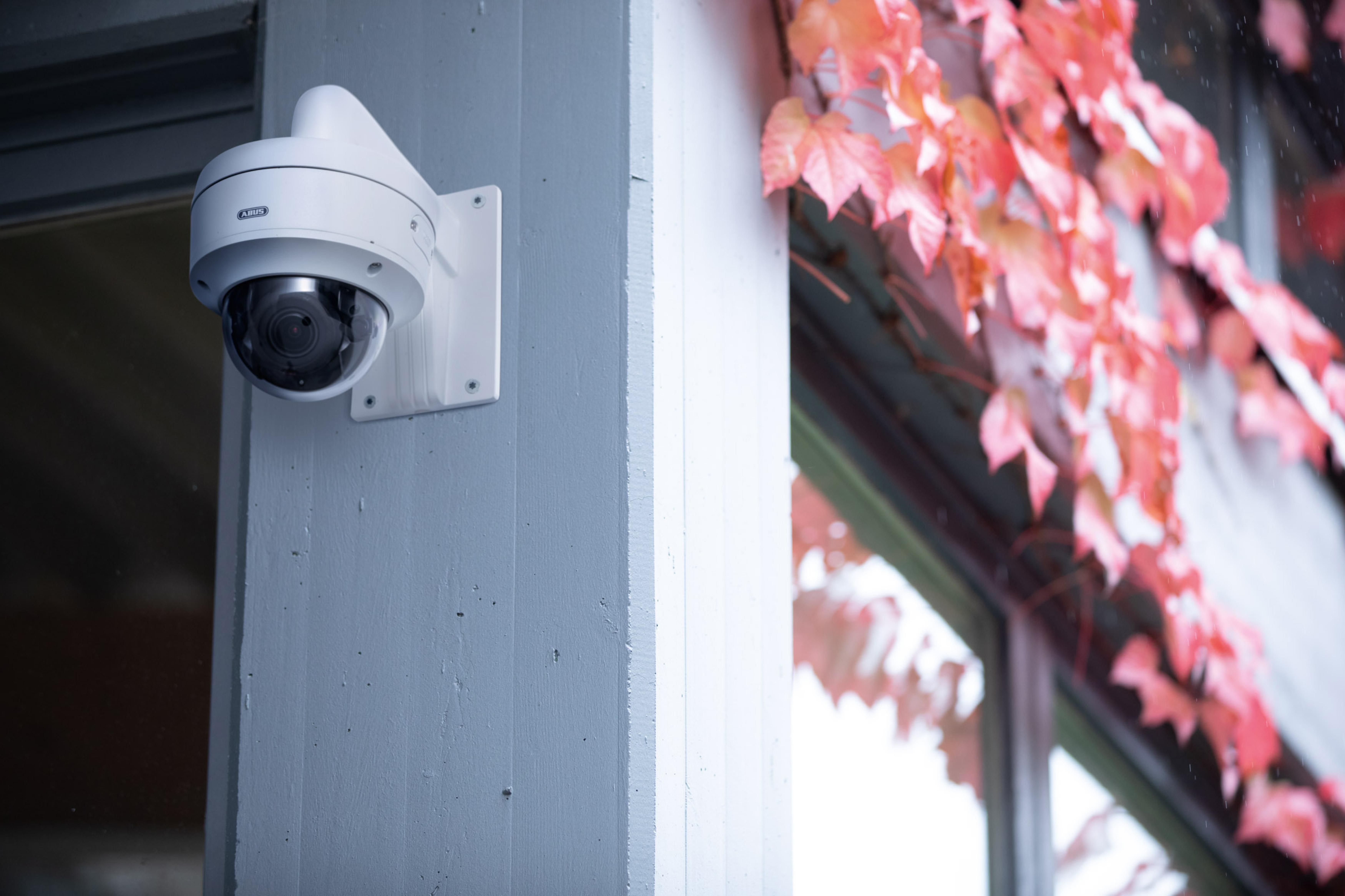 ABUS 8 MP IP-Dome-Kamera 2,8-12 mm