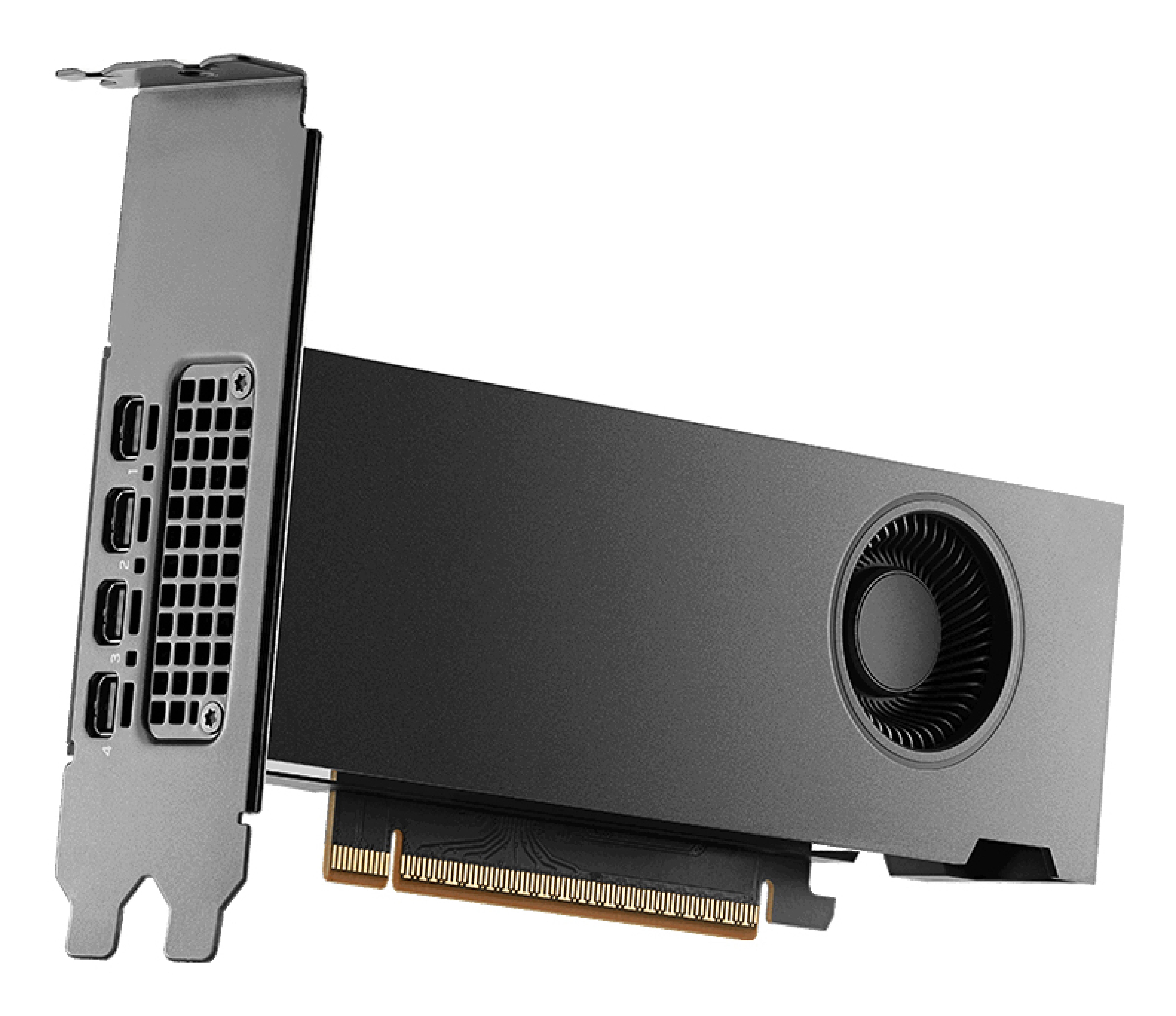 PNY Quadro RTX PRO 2000 Blackwell 16GB GDDR7 4xmDP