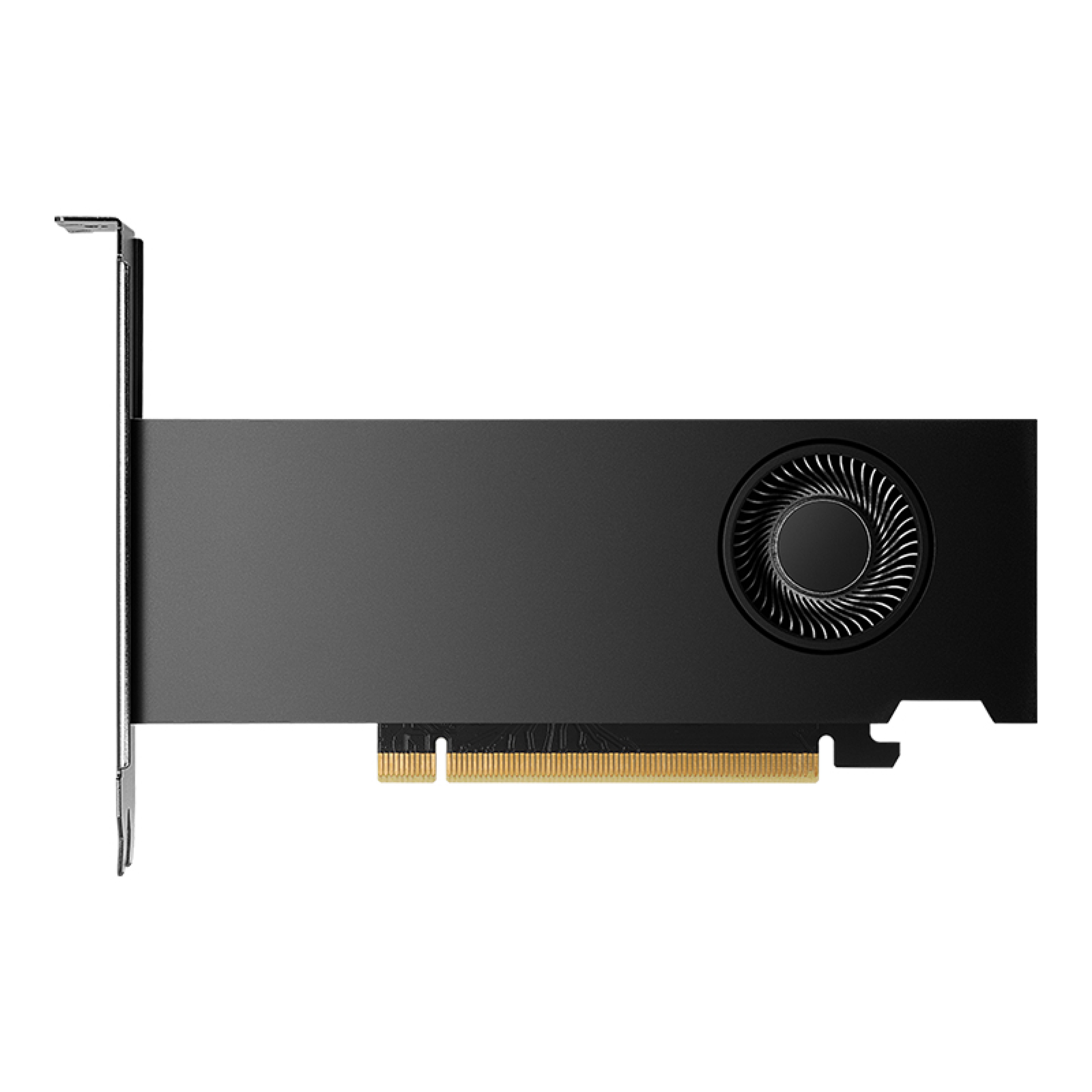 PNY Quadro RTX 2000 ADA 16GB GDDR6 4xmDP