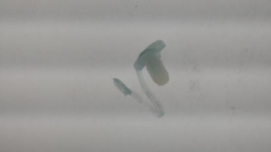 WILFA Ersatzteil - ICE 12S, plug