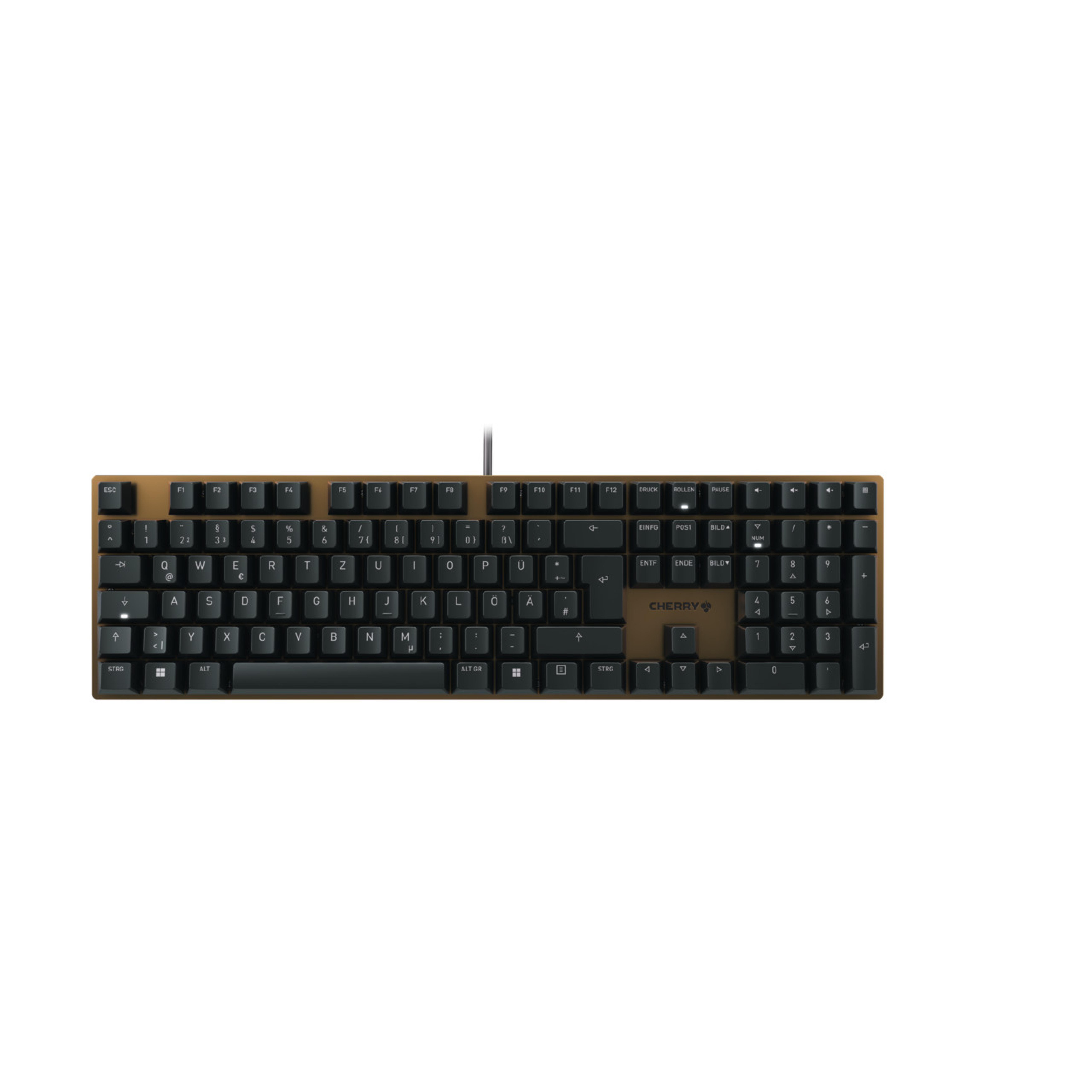 CHERRY KC200MX Tastatur Wired DE 1.60m MX braun sw/br